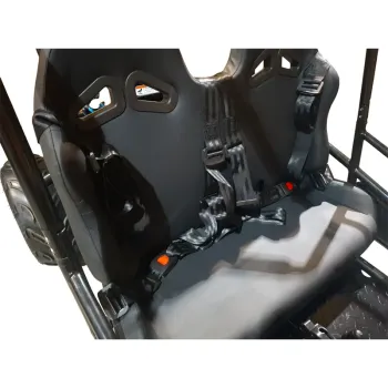 Buggy FX Easy 200 Four Stroke 4T - Dettagli