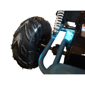 Buggy FX Easy 200 Four Stroke 4T - Dettagli