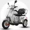 Trimax 1000W 60V Targabile Grigio