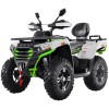 Quad NCX Mammoth 300 R12 Targabile