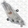 Indicatore di Direzione DX Anteriore  Originale NCX per Trilux
