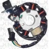 Statore 8 Bobine Originale NCX per Quad Hunter 200 e Simili