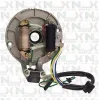 Statore 2 Bobine Originale NCX per Pitbike Quad