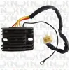 Regolatore di Tensione Originale NCX per Quad Extreme 300