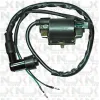 Bobina 4 Tempi Originale NCX per Quad e  Pitbike