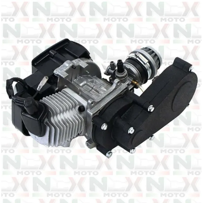 Motore 49cc Automatico Pull Start Con Carburatore