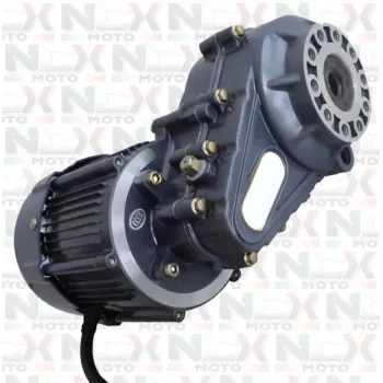 Motore Triciclo 1000W 60V con Differenziale Originale NCX per Trilux