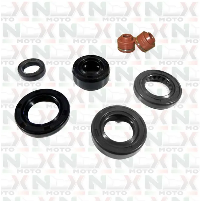 Kit Paraoli per Motore YX 125 + Gommini  Valvole