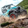 Buggy FX 800 - Offroad Test - Divertimento in Fuoristrada