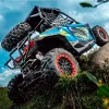 Buggy FX 800 - Offroad Test - Dettaglio Posteriore