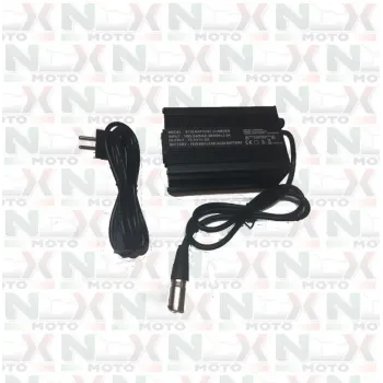 Caricabatterie Originale NCX per Monopattino 60V Litio