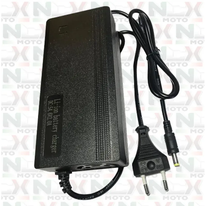 Caricabatterie Litio 48V Originale NCX per  Booper e Simili
