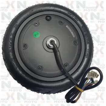 Motore 350W - Cerchio + Pneumatico 8 ½ X 2 + Camera D'Aria Originale NCX per Monopattino City Move e Simili