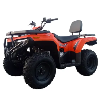 Maxi Quad X-Rock 200 R10 - Vista Frontale Sinistra