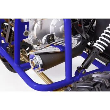 Buggy FX Maxi 125 Four Stroke 4T - Dettagli