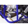 Buggy FX Maxi 125 Four Stroke 4T - Dettagli