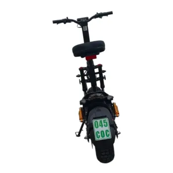 Monopattino Citymax 2000W 60V 20Ah - Vista Posteriore