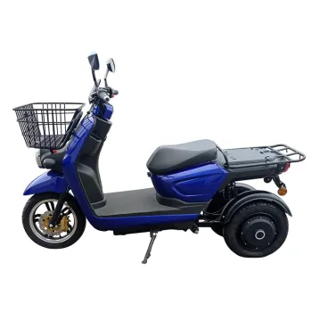 Tricargo Maxi Delivery - Vista Laterale Sinistra