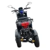 Tricargo Maxi Delivery - Vista Posteriore