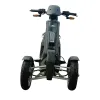 Steady 2000W 72V - Vista Frontale