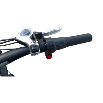 Fat E-Bike Pieghevole NCX Bulldog 250W 48V 13.5Ah