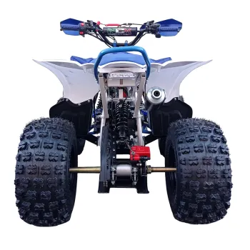 Quad Furious Slim FD 125 4T R8 - Colore Blu - Vista Posteriore