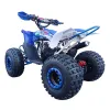 Quad Furious Slim FD 125cc R8 - Vista Posteriore Sinistra