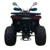 Quad NCX Angry 125cc R8 Explorer - Colore Nero-Blu - Vista Posteriore