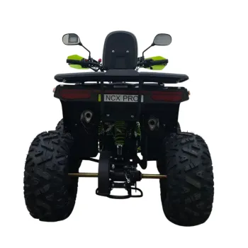 Quad Angry 125 4T R8 Explorer - Colore Nero/Giallo - Vista Posteriore