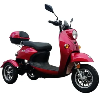 Triscoot 3 Ruote 650w 60V