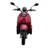 Triscoot 3 Ruote 650w 60V - Vista Frontale