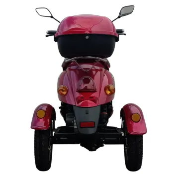 Triscoot 3 Ruote 650w 60V - Vista Posteriore