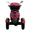 Triscoot 3 Ruote 650w 60V - Vista Posteriore