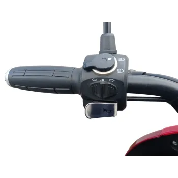 Triscoot 3 Ruote 650w 60V