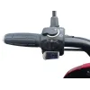 Triscoot 3 Ruote 650w 60V