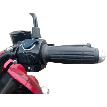 Triscoot 3 Ruote 650w 60V