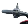 Triscoot 3 Ruote 650w 60V