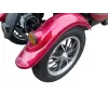 Triscoot 3 Ruote 650w 60V