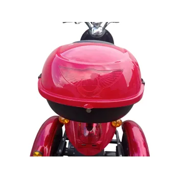 Triscoot 3 Ruote 650w 60V