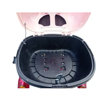 Triscoot 3 Ruote 650w 60V