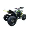 Maxi Quad Vulkan 250 R10 Four Stroke 4T 4M - Vista Posteriore Destra