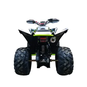 Maxi Quad Vulkan 250 R10 Four Stroke 4T 4M - Vista Posteriore