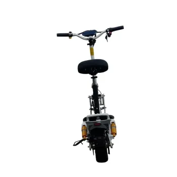 Flyfast 2000W 48V 12Ah - Vista Posteriore
