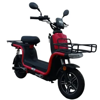 Cargo Maxi Delivery - Vista 45° Frontale