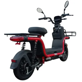 Cargo Maxi Delivery - Vista 45° Posteriore