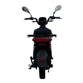 Cargo Maxi Delivery - Vista Posteriore