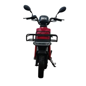 Cargo Maxi Delivery - Vista Frontale