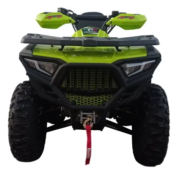 Maxi Quad X-Rock 350 - Vista Frontale