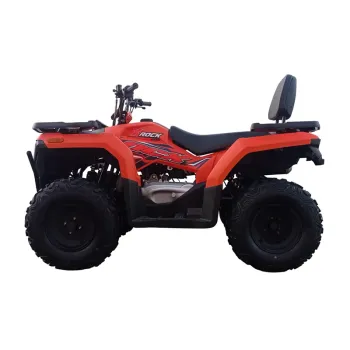 MaxiQuad NCX X-Rock 200cc R10 cambio CVT in offerta Outlet su NCX Moto