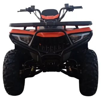 MaxiQuad NCX X-Rock 200cc R10 cambio CVT in offerta Outlet su NCX Moto